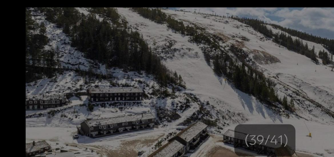 Leilighet Pa Gautefall Διαμέρισμα Drangedal Εξωτερικό φωτογραφία